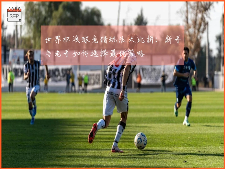 世界杯滚球竞猜玩法大比拼：新手与老手如何选择最优策略