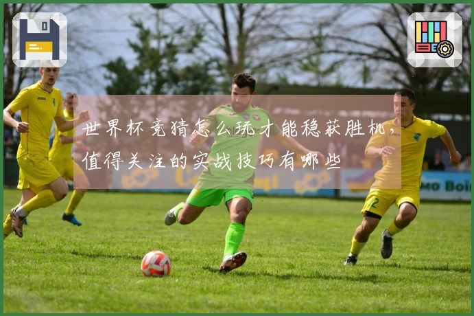 世界杯竞猜怎么玩才能稳获胜机，值得关注的实战技巧有哪些