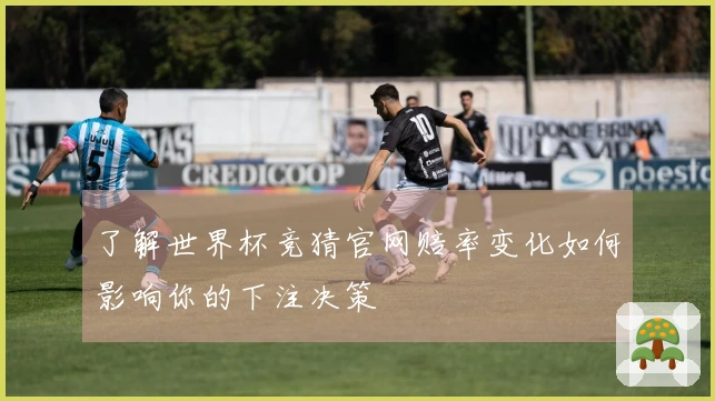 了解世界杯竞猜官网赔率变化如何影响你的下注决策