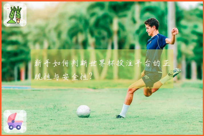 新手如何判断世界杯投注平台的正规性与安全性？