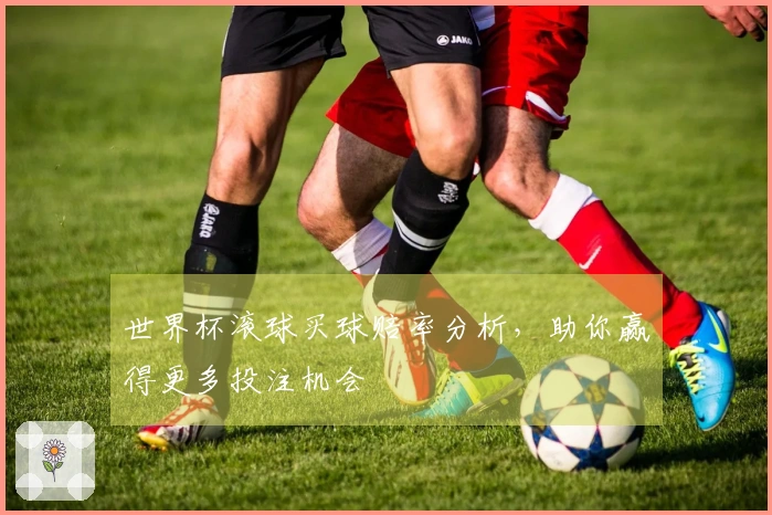 世界杯滚球买球赔率分析，助你赢得更多投注机会