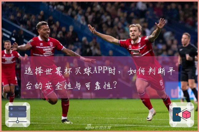 选择世界杯买球APP时，如何判断平台的安全性与可靠性？