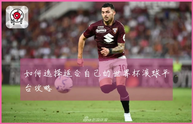 如何选择适合自己的世界杯滚球平台攻略