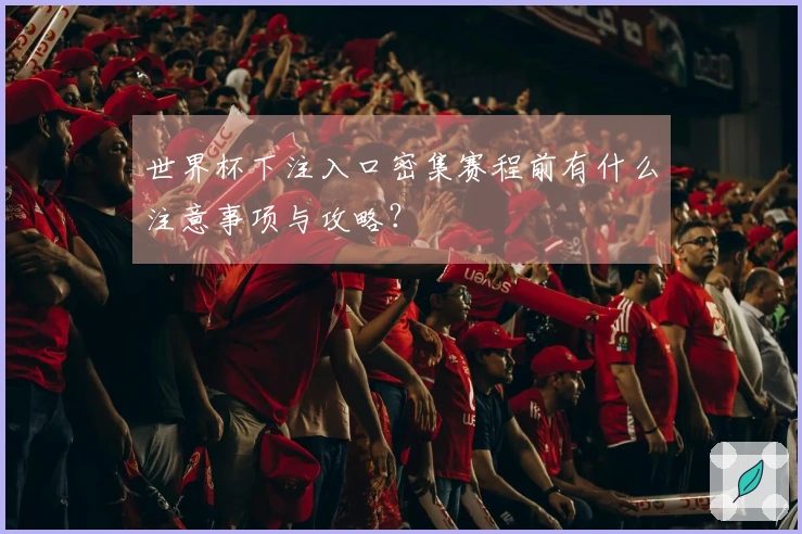 世界杯下注入口密集赛程前有什么注意事项与攻略？