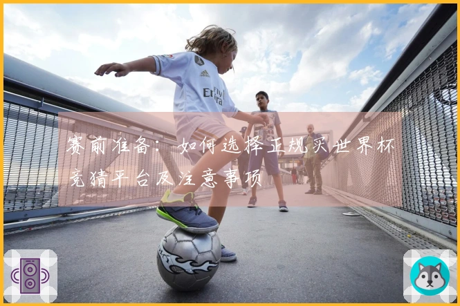 赛前准备：如何选择正规买世界杯竞猜平台及注意事项
