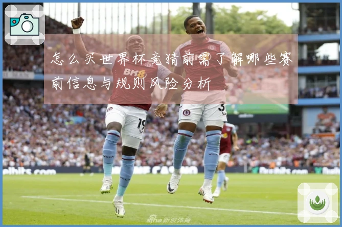 怎么买世界杯竞猜前需了解哪些赛前信息与规则风险分析