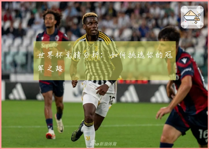世界杯竞猜分析：如何挑选你的冠军之路