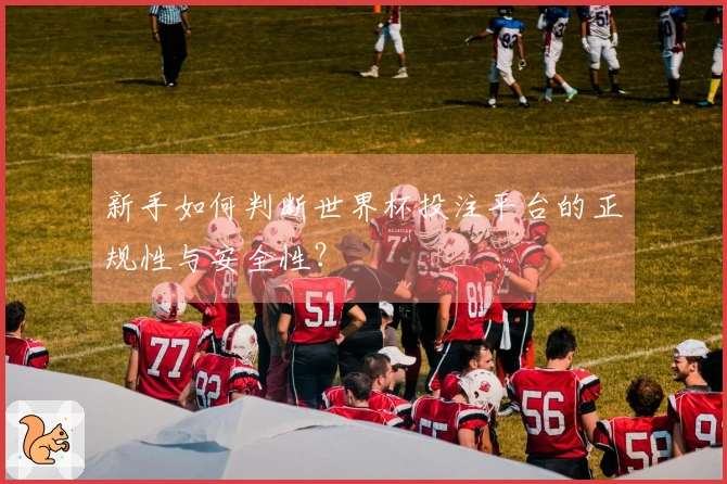 新手如何判断世界杯投注平台的正规性与安全性？