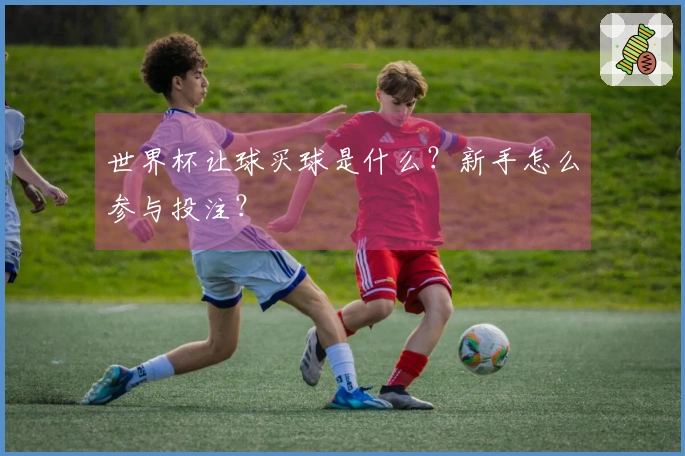 世界杯让球买球是什么？新手怎么参与投注？