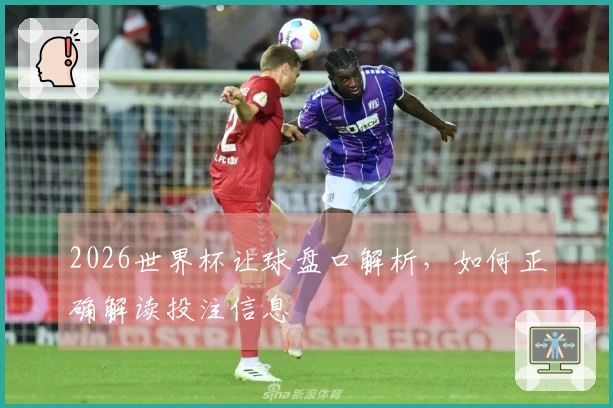 2026世界杯让球盘口解析，如何正确解读投注信息