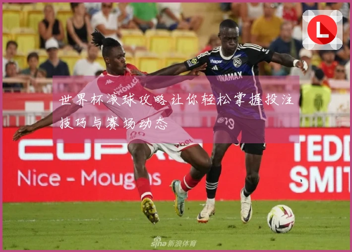 世界杯滚球攻略让你轻松掌握投注技巧与赛场动态