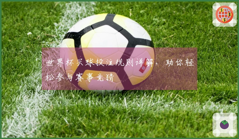世界杯买球投注规则详解，助你轻松参与赛事竞猜