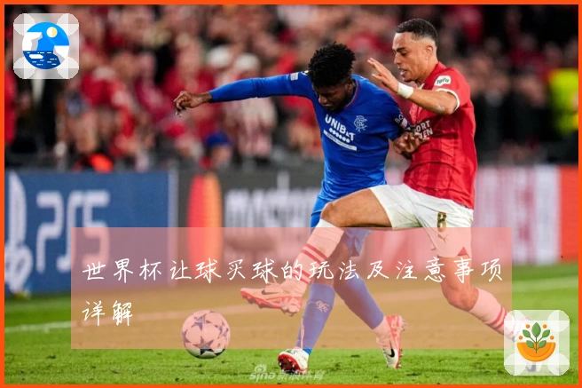 世界杯让球买球的玩法及注意事项详解