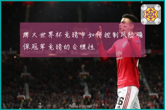 烽火世界杯竞猜中如何控制风险确保冠军竞猜的合理性