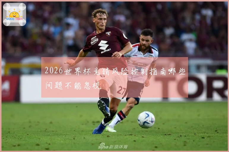 2026世界杯竞猜风险控制指南哪些问题不能忽视