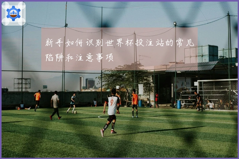 新手如何识别世界杯投注站的常见陷阱和注意事项