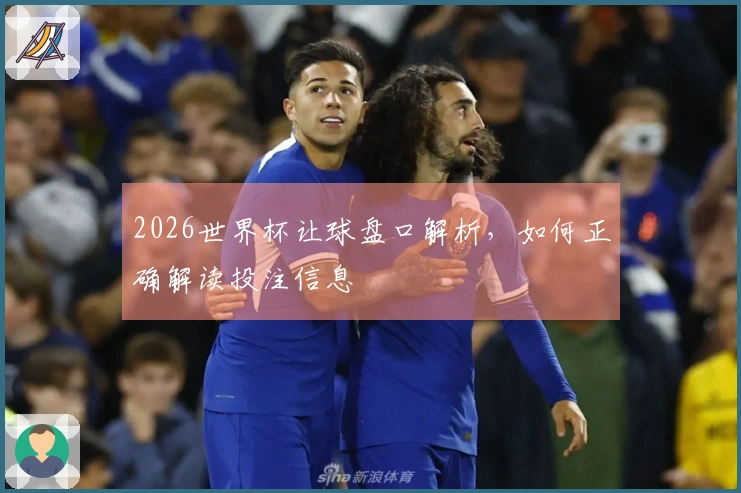 2026世界杯让球盘口解析，如何正确解读投注信息