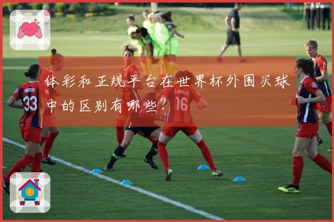 体彩和正规平台在世界杯外围买球中的区别有哪些？