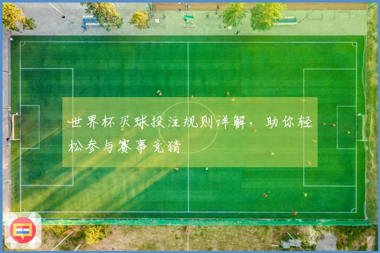世界杯买球投注规则详解，助你轻松参与赛事竞猜