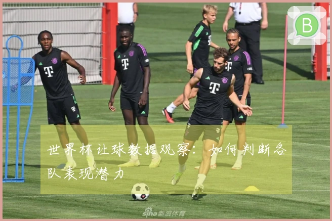 世界杯让球数据观察：如何判断各队表现潜力