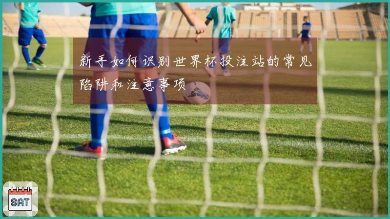 新手如何识别世界杯投注站的常见陷阱和注意事项