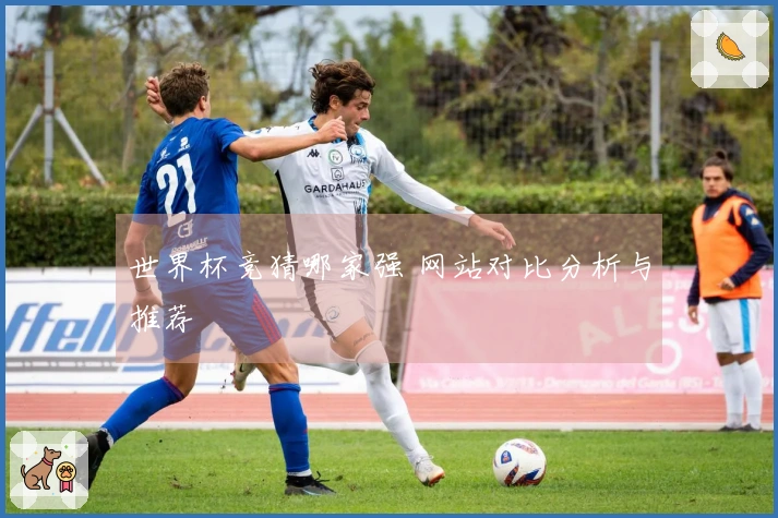 世界杯竞猜哪家强 网站对比分析与推荐