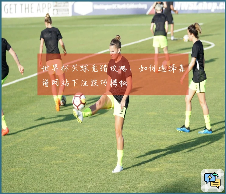 世界杯买球竞猜攻略，如何选择靠谱网站下注技巧揭秘