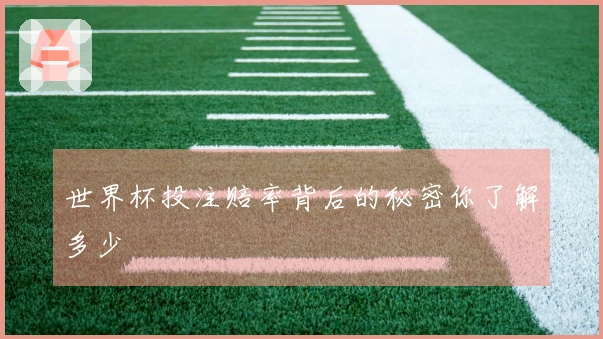 世界杯投注赔率背后的秘密你了解多少