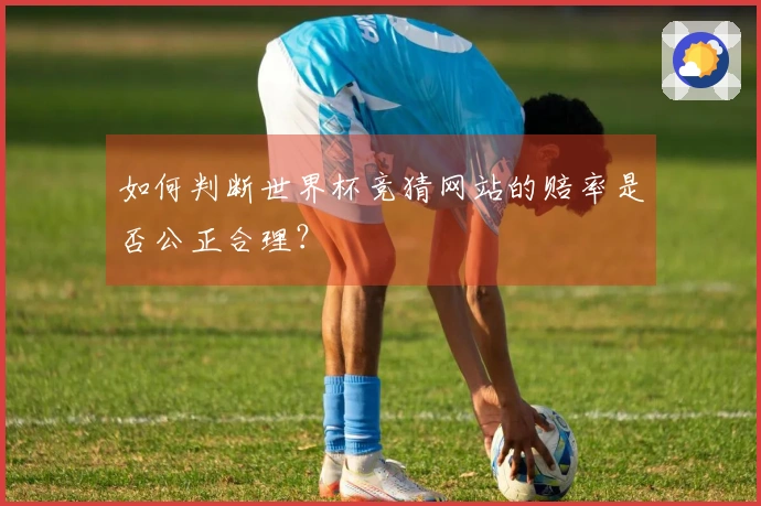 如何判断世界杯竞猜网站的赔率是否公正合理？
