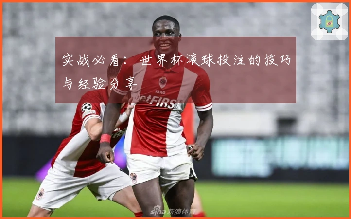 实战必看：世界杯滚球投注的技巧与经验分享