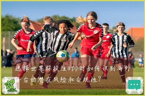 选择世界杯投注app时如何识别海外平台的潜在风险和合规性？