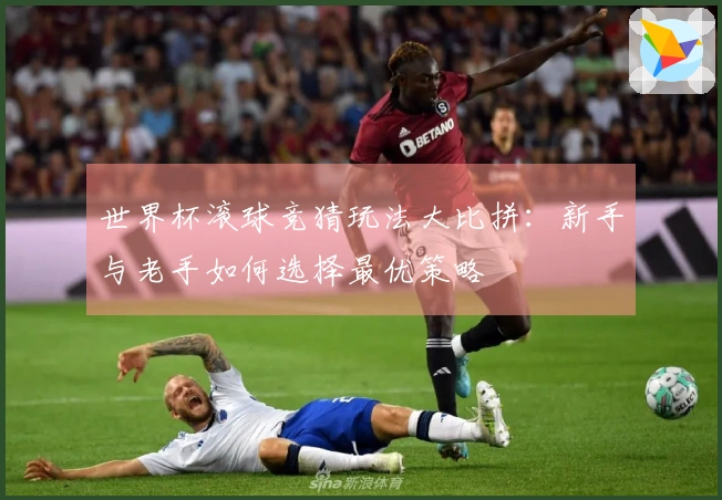 世界杯滚球竞猜玩法大比拼：新手与老手如何选择最优策略