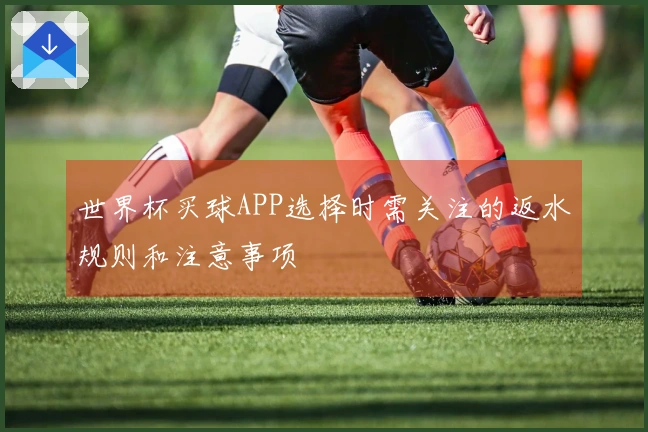 世界杯买球APP选择时需关注的返水规则和注意事项