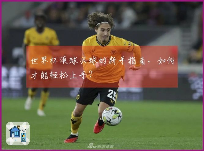世界杯滚球买球的新手指南，如何才能轻松上手？