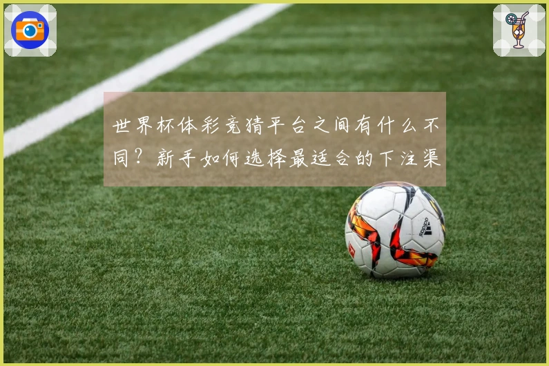 世界杯体彩竞猜平台之间有什么不同？新手如何选择最适合的下注渠道？